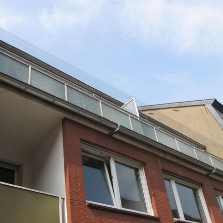 Taubenabwehr auf einem roten Wohnhaus
