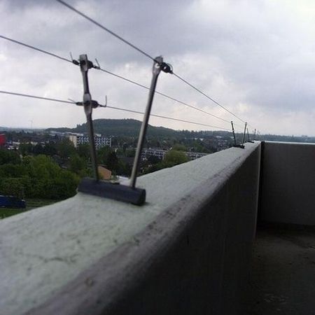 Taubenabwehr auf einem Dach mit Aussicht über die Stadt