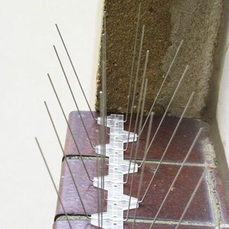 Taubenabwehr durch Stäbe an einer Fensterbank