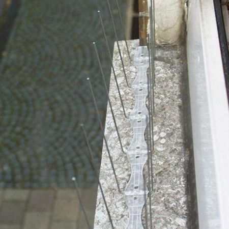 Taubenabwehr durch Stäbe an einer Fensterbank