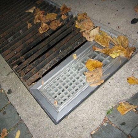 Insektenschutz an einem Gitter auf dem Boden