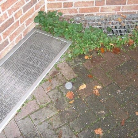 Insektenschutzsysteme nach Maß